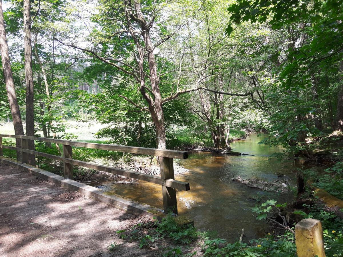 Mazury domek całoroczny Pelnik gm Ostróda jezioro las Zewnętrze zdjęcie